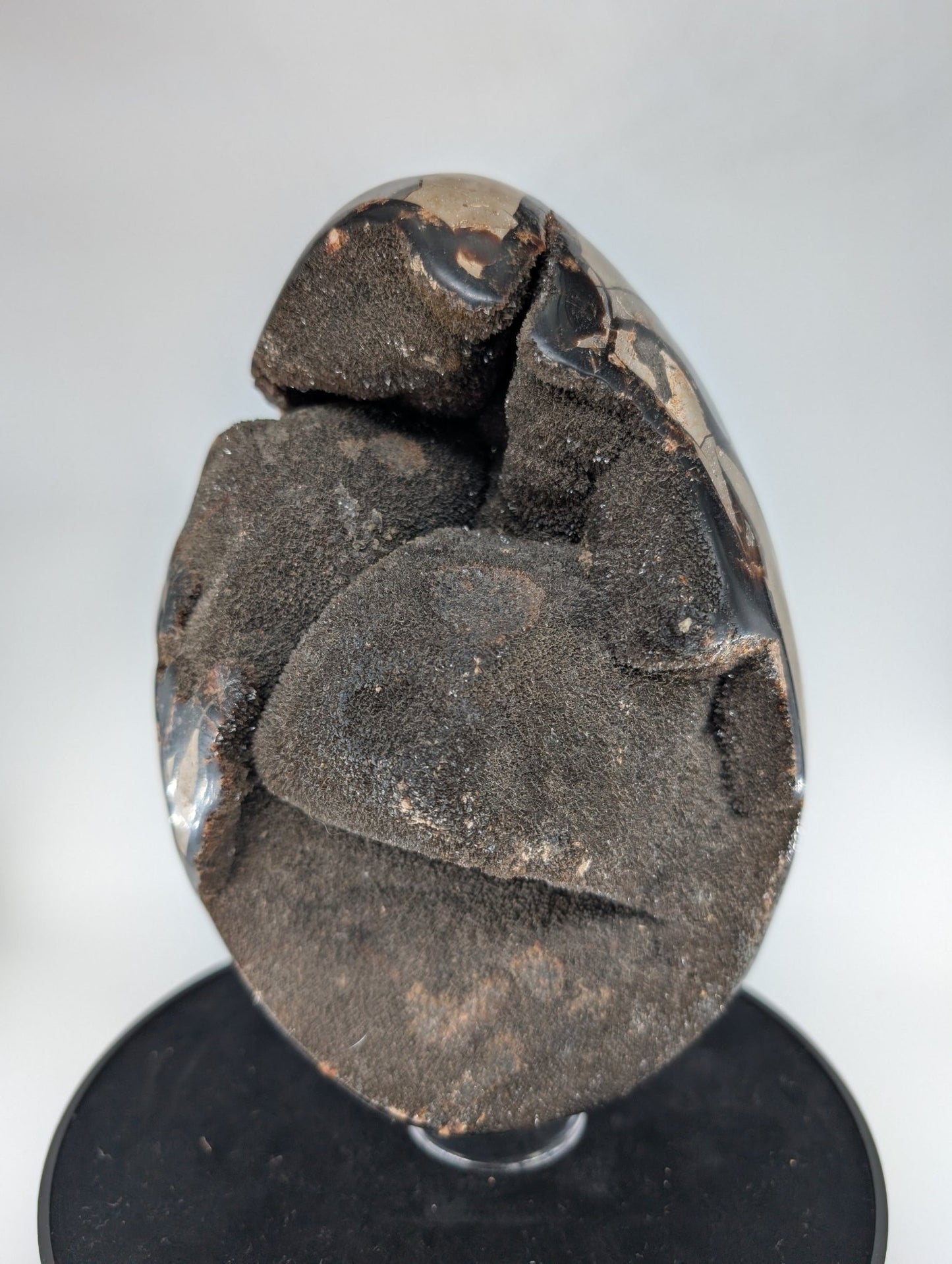 Polished Septarian Egg 4595G featuring natural patterning and unique variations - Luna Panther