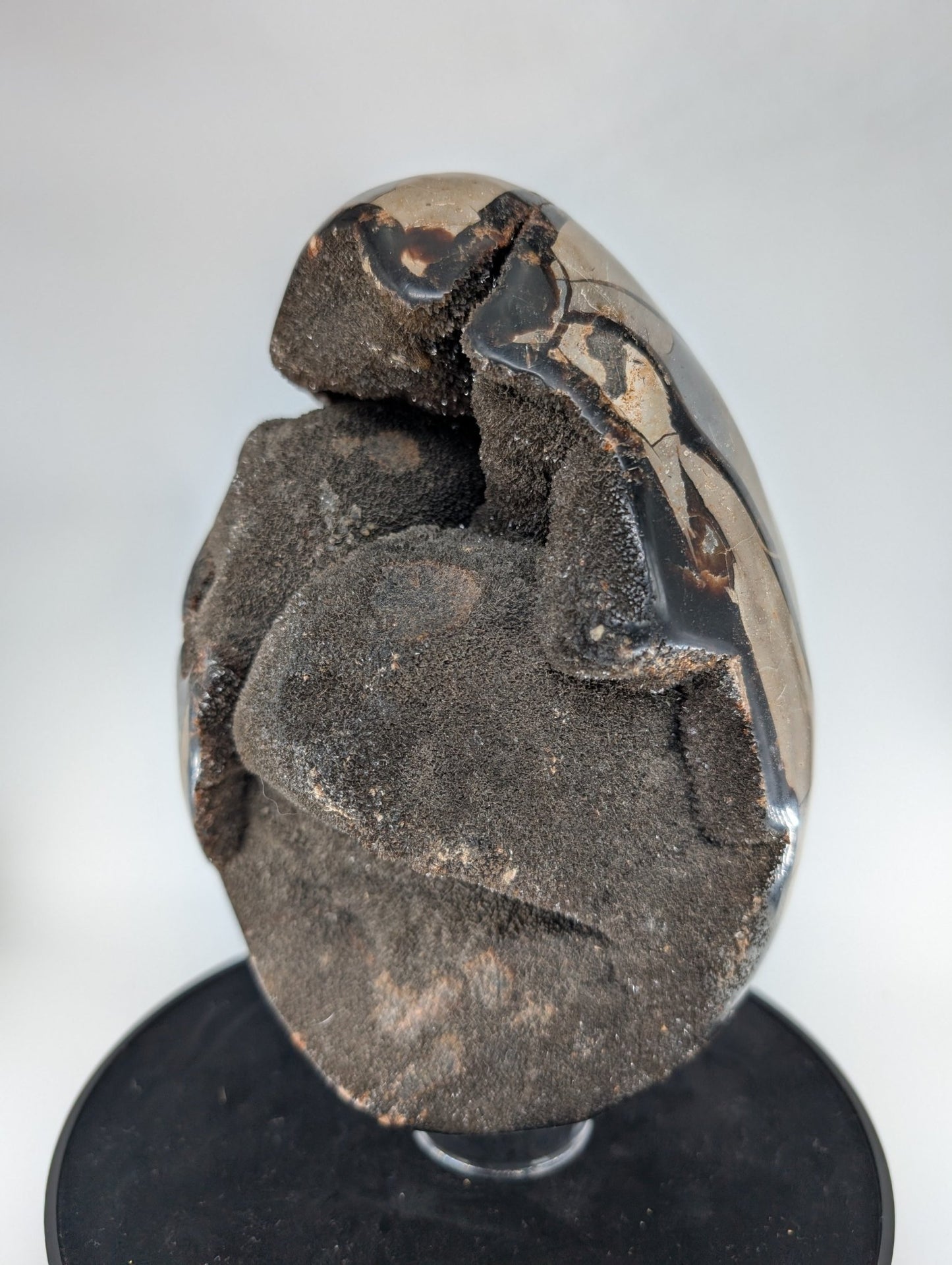 Polished Septarian Egg 4595G featuring natural patterning and unique variations - Luna Panther