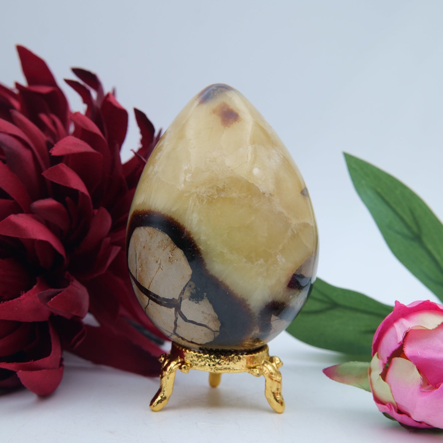 Septeria with Calcite/Aragonite Egg - 406g - Luna Panther