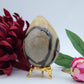 Septeria with Calcite/Aragonite Egg - 406g - Luna Panther
