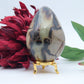 Polished Septeria With Calcite Aragonite Egg 438G featuring warm brown star-like clusters - Luna Panther
