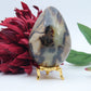 Polished Septeria With Calcite Aragonite Egg 438G featuring warm brown star-like clusters - Luna Panther