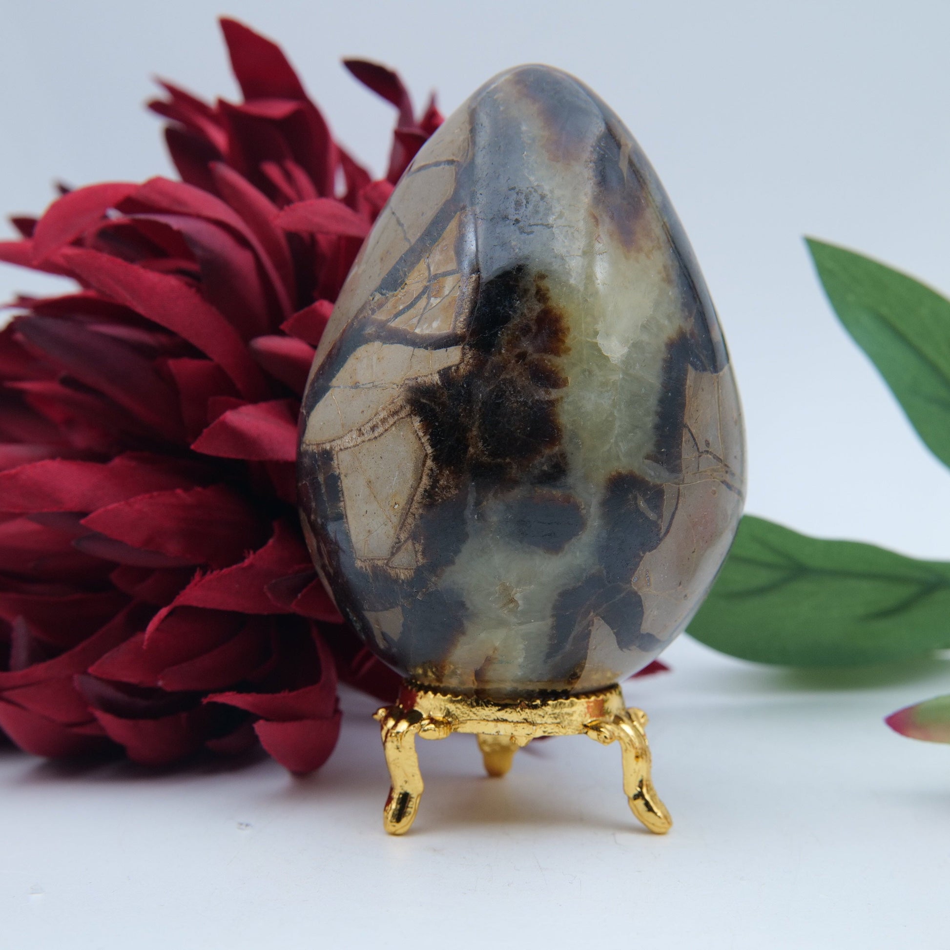 Polished Septeria With Calcite Aragonite Egg 438G featuring warm brown star-like clusters - Luna Panther