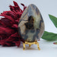 Polished Septeria With Calcite Aragonite Egg 438G featuring warm brown star-like clusters - Luna Panther