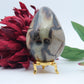 Polished Septeria With Calcite Aragonite Egg 438G featuring warm brown star-like clusters - Luna Panther