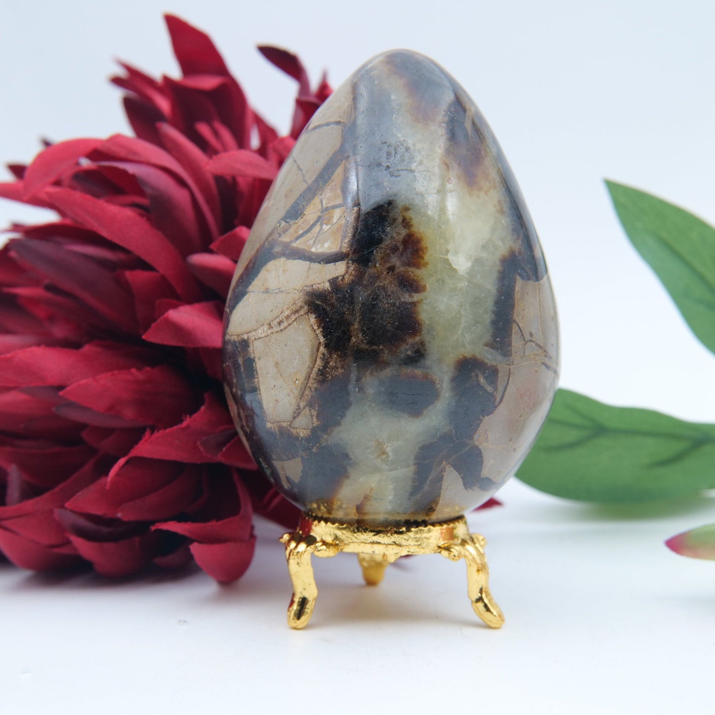 Polished Septeria With Calcite Aragonite Egg 438G featuring warm brown star-like clusters - Luna Panther