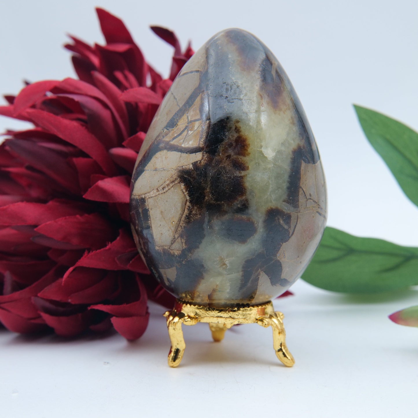 Polished Septeria With Calcite Aragonite Egg 438G featuring warm brown star-like clusters - Luna Panther