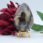 Polished Septeria With Calcite Aragonite Egg 438G featuring warm brown star-like clusters - Luna Panther