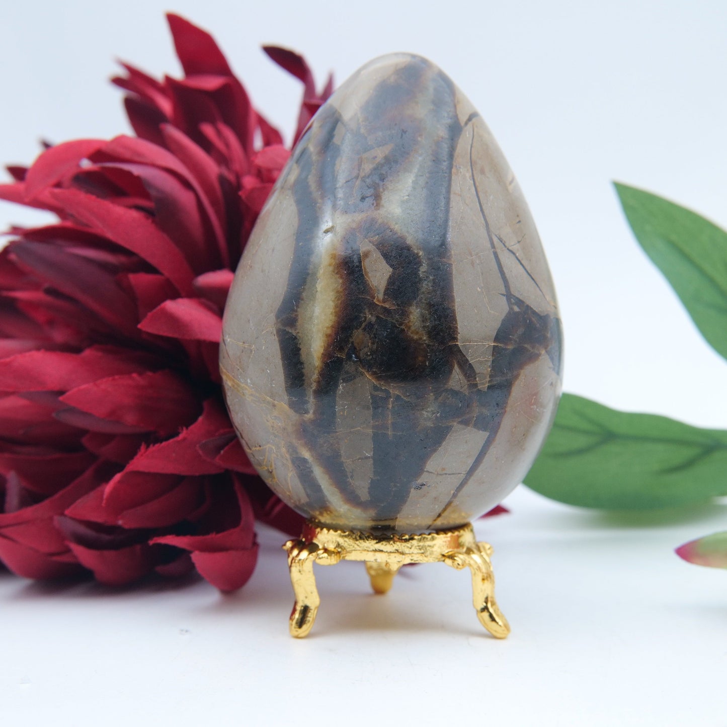 Polished Septeria With Calcite Aragonite Egg 438G featuring warm brown star-like clusters - Luna Panther