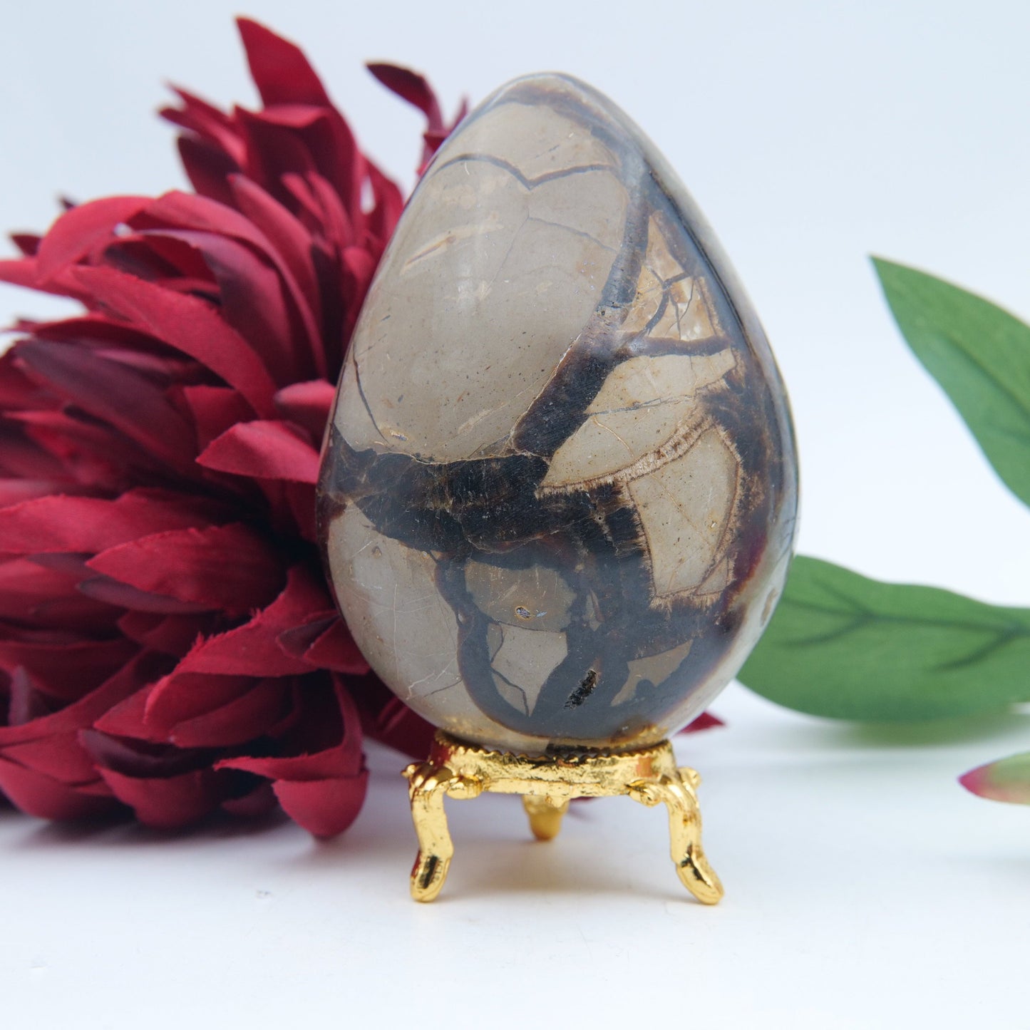 Polished Septeria With Calcite Aragonite Egg 438G featuring warm brown star-like clusters - Luna Panther