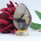 Polished Septeria With Calcite Aragonite Egg 438G featuring warm brown star-like clusters - Luna Panther