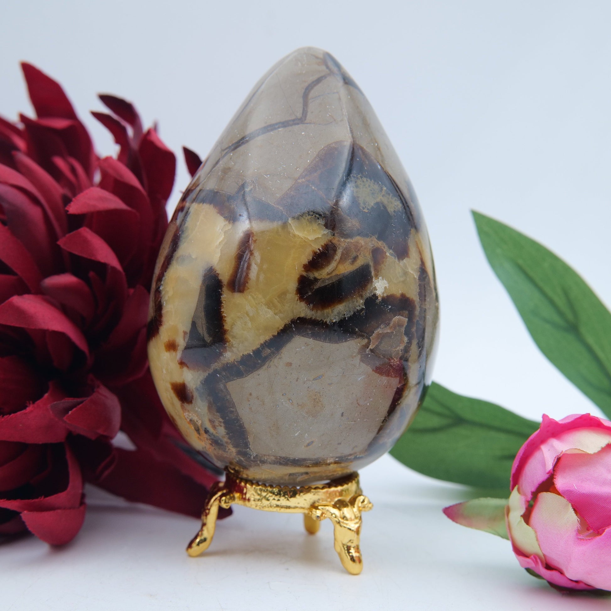 Polished Septeria With Calcite Aragonite Egg 593G featuring warm brown star-like clusters - Luna Panther