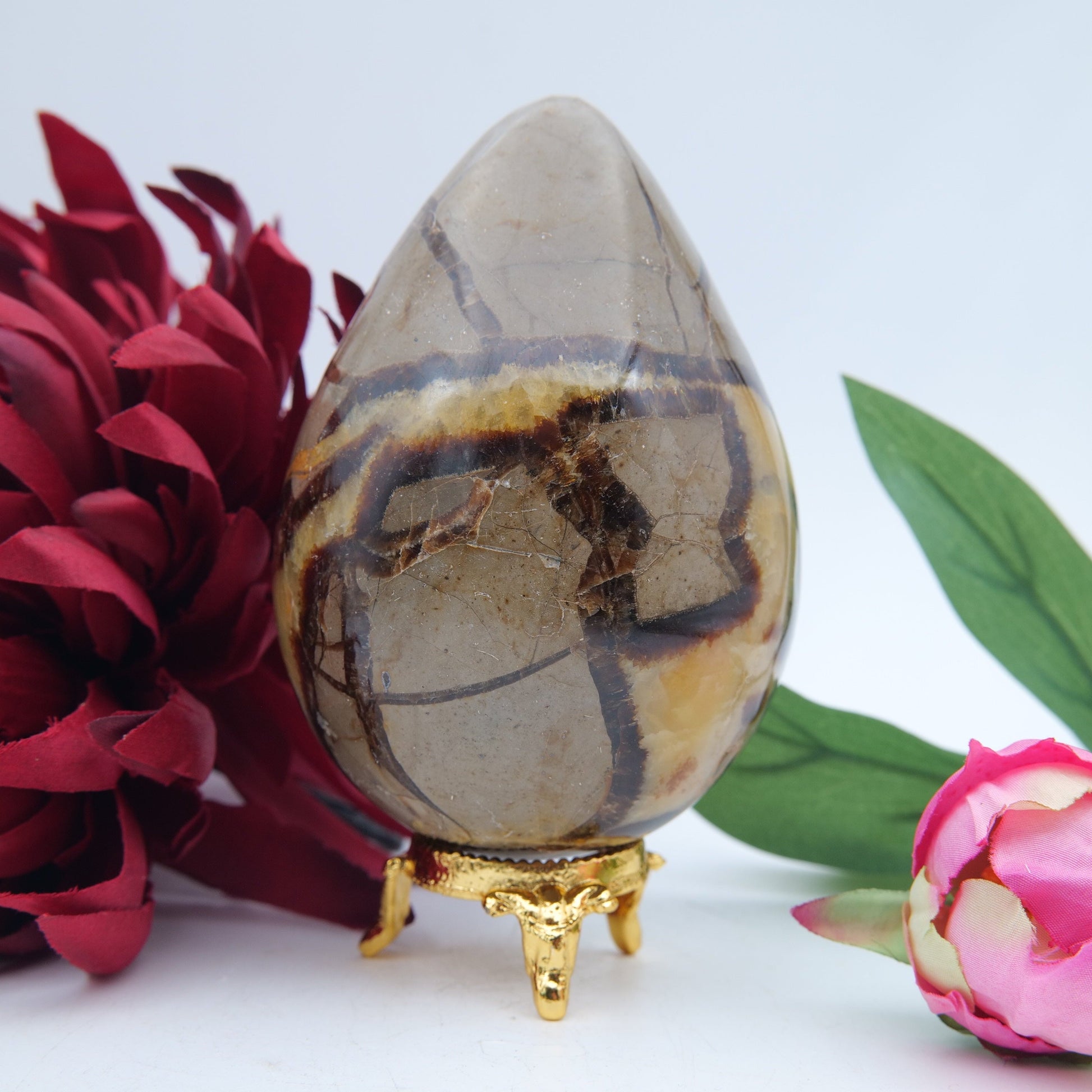 Polished Septeria With Calcite Aragonite Egg 593G featuring warm brown star-like clusters - Luna Panther