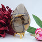 Polished Septeria With Calcite Aragonite Egg 593G featuring warm brown star-like clusters - Luna Panther