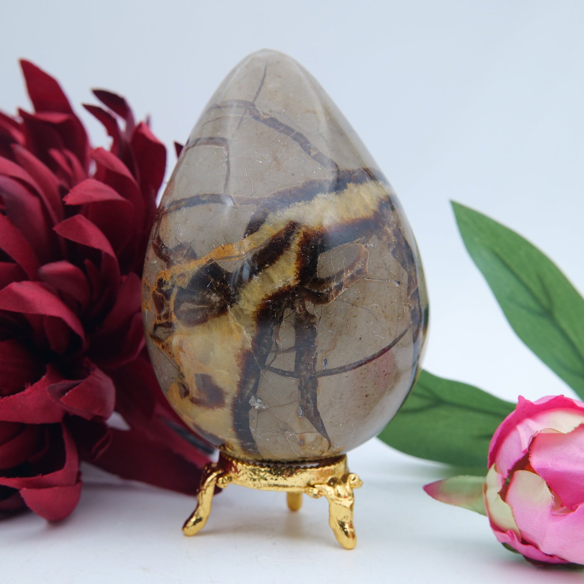 Polished Septeria With Calcite Aragonite Egg 593G featuring warm brown star-like clusters - Luna Panther
