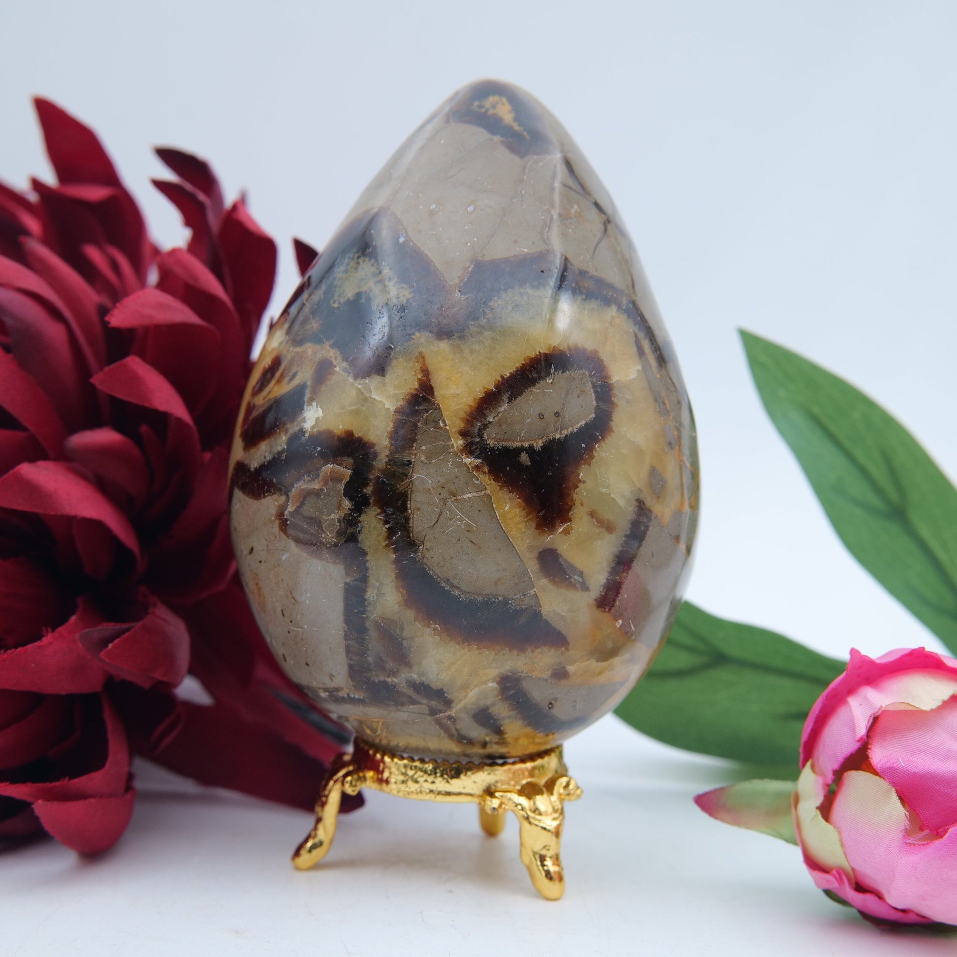 Polished Septeria With Calcite Aragonite Egg 593G featuring warm brown star-like clusters - Luna Panther