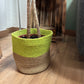 Set of 3 Cotton Rope Storage Baskets - Pistachio - Luna Panther