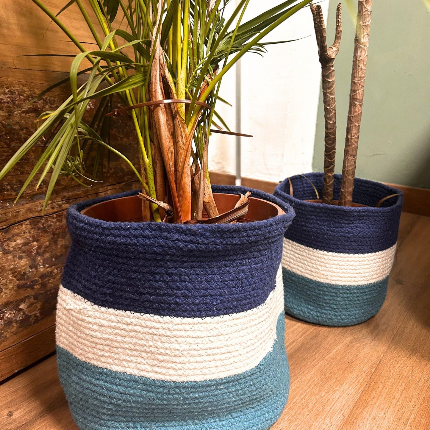 Set of 3 Evil Eye Jute Rope Baskets - Luna Panther