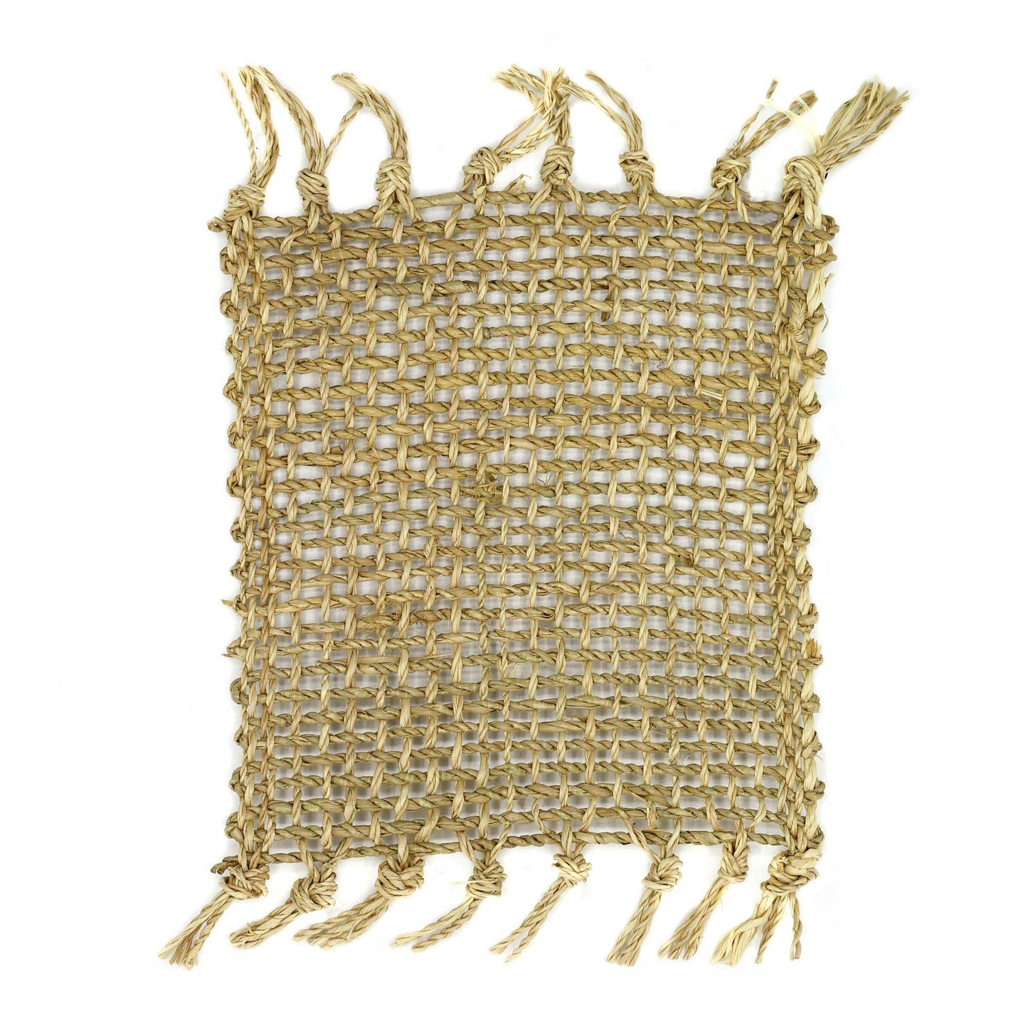 Set of 4 Seagrass Fringe Natural Coasters - Natural - Luna Panther