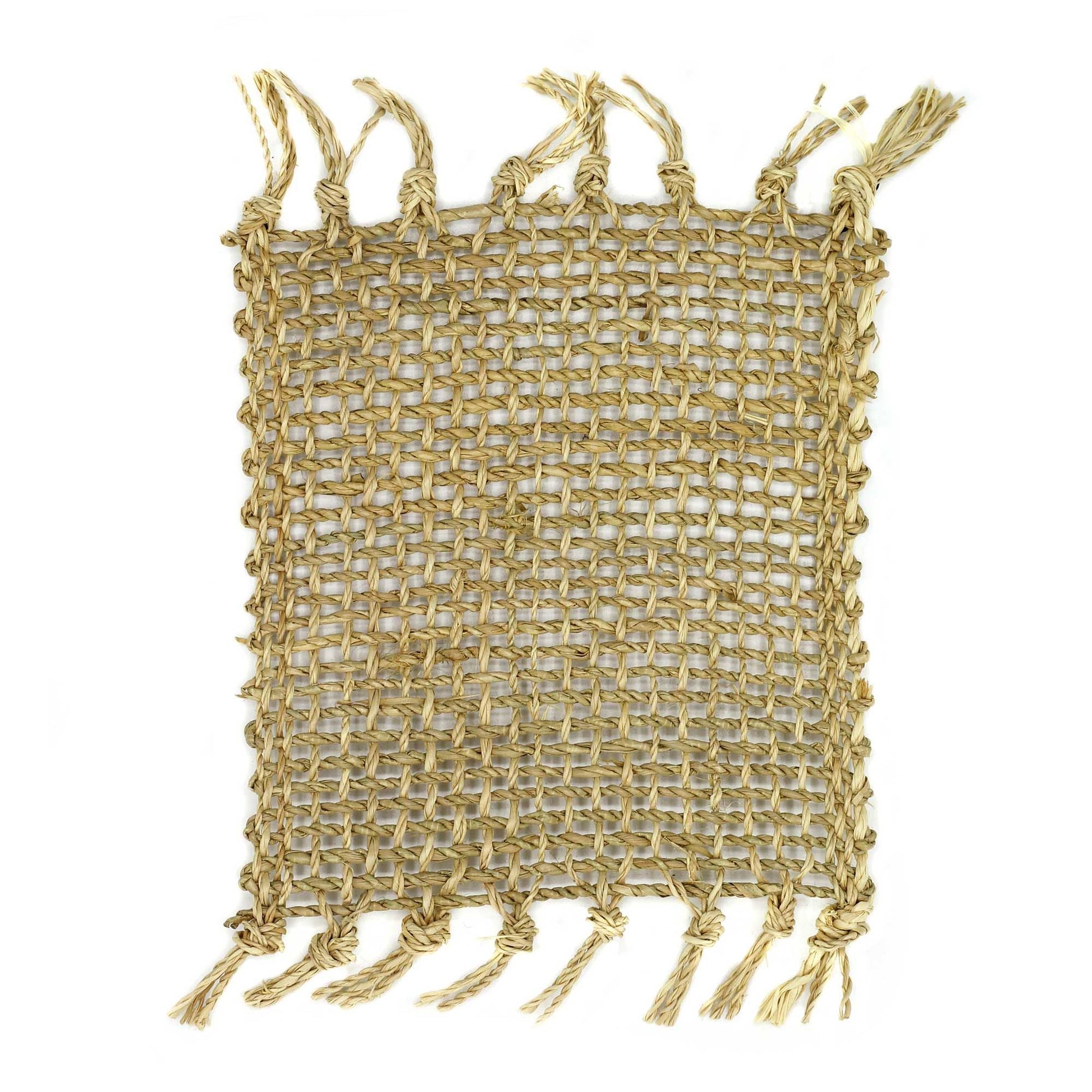 Set of 4 Seagrass Fringe Natural Coasters - Natural - Luna Panther
