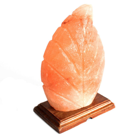 Polished Shape Salt Lamp Fern featuring natural patterning and unique variations - Luna Panther alternate view