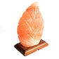 Polished Shape Salt Lamp Fern featuring natural patterning and unique variations - Luna Panther