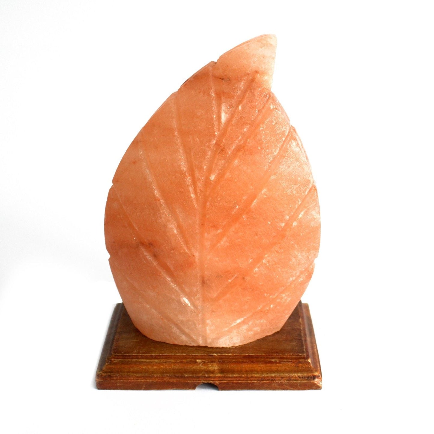 Polished Shape Salt Lamp - Fern featuring natural patterning and unique variations - Luna Panther