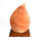 Polished Shape Salt Lamp - Fern featuring natural patterning and unique variations - Luna Panther