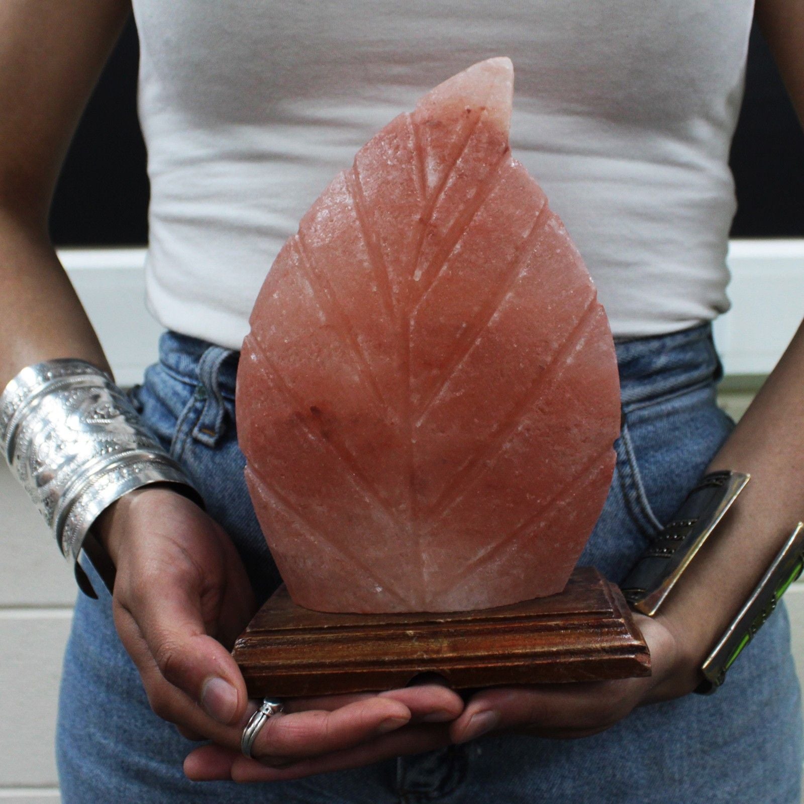 Polished Shape Salt Lamp Fern featuring natural patterning and unique variations - Luna Panther