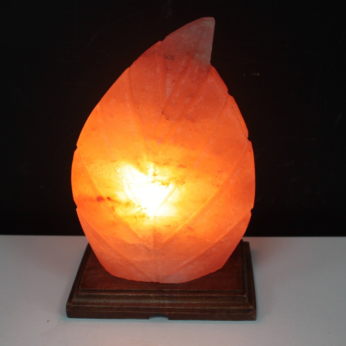 Polished Shape Salt Lamp Fern featuring natural patterning and unique variations - Luna Panther