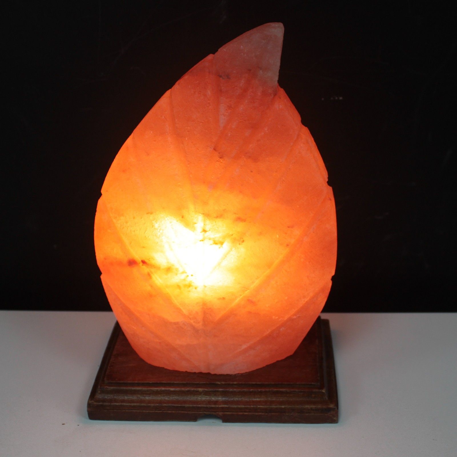 Polished Shape Salt Lamp Fern featuring natural patterning and unique variations - Luna Panther