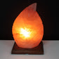 Polished Shape Salt Lamp Fern featuring natural patterning and unique variations - Luna Panther