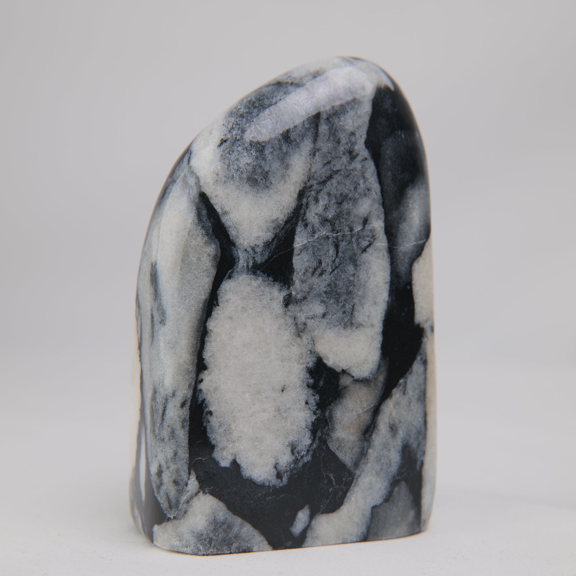 Shell Jade Freeform - Luna Panther
