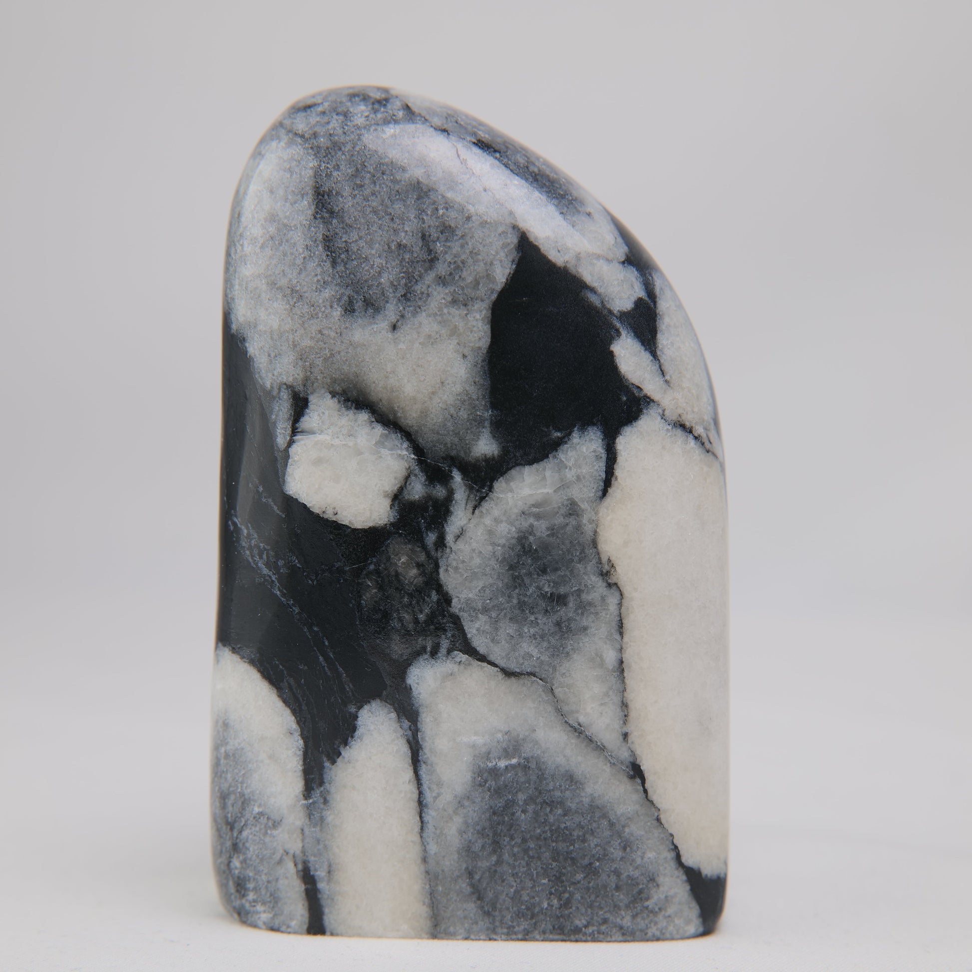 Shell Jade Freeform - Luna Panther