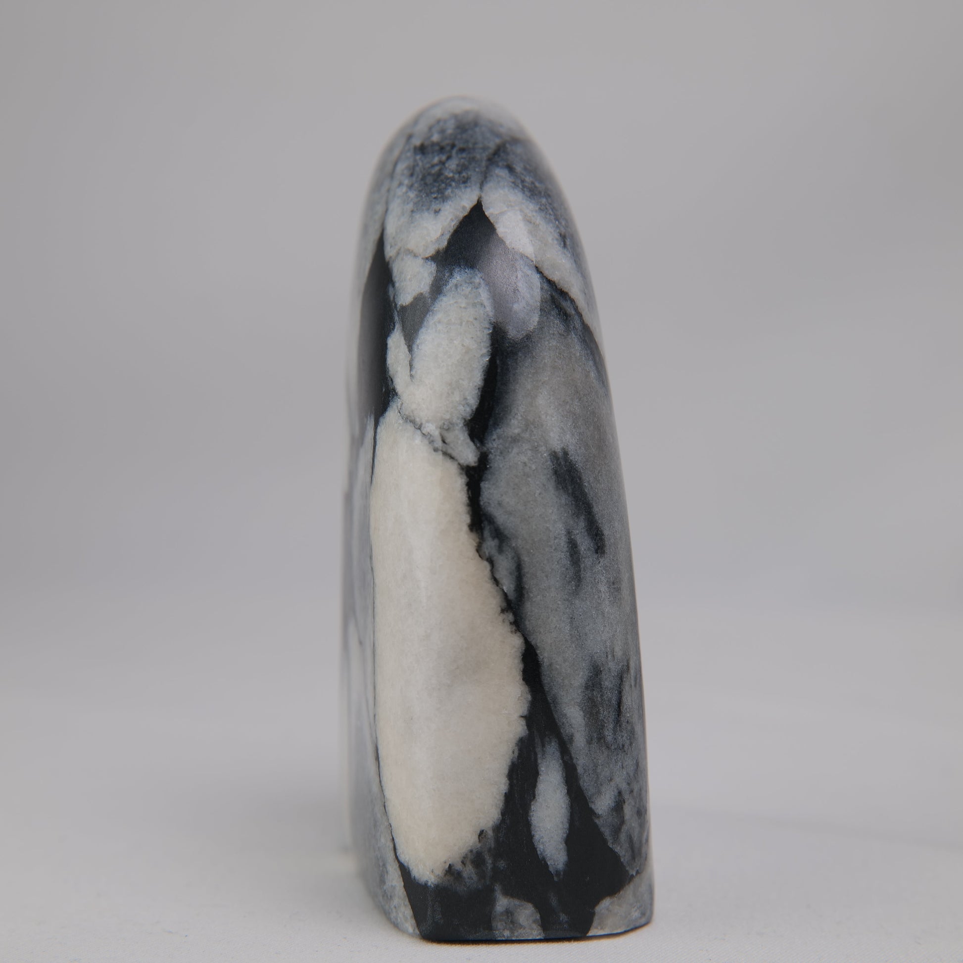Shell Jade Freeform - Luna Panther
