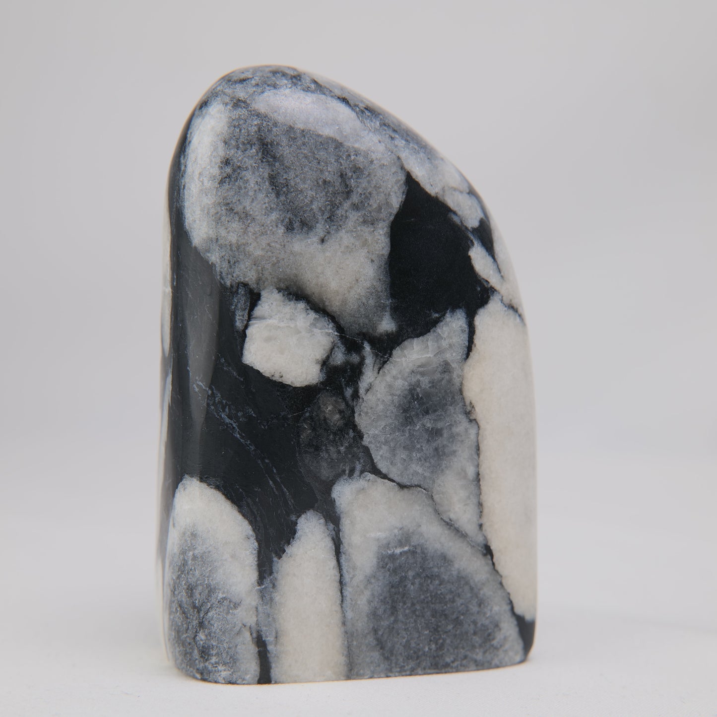 Shell Jade Freeform - Luna Panther