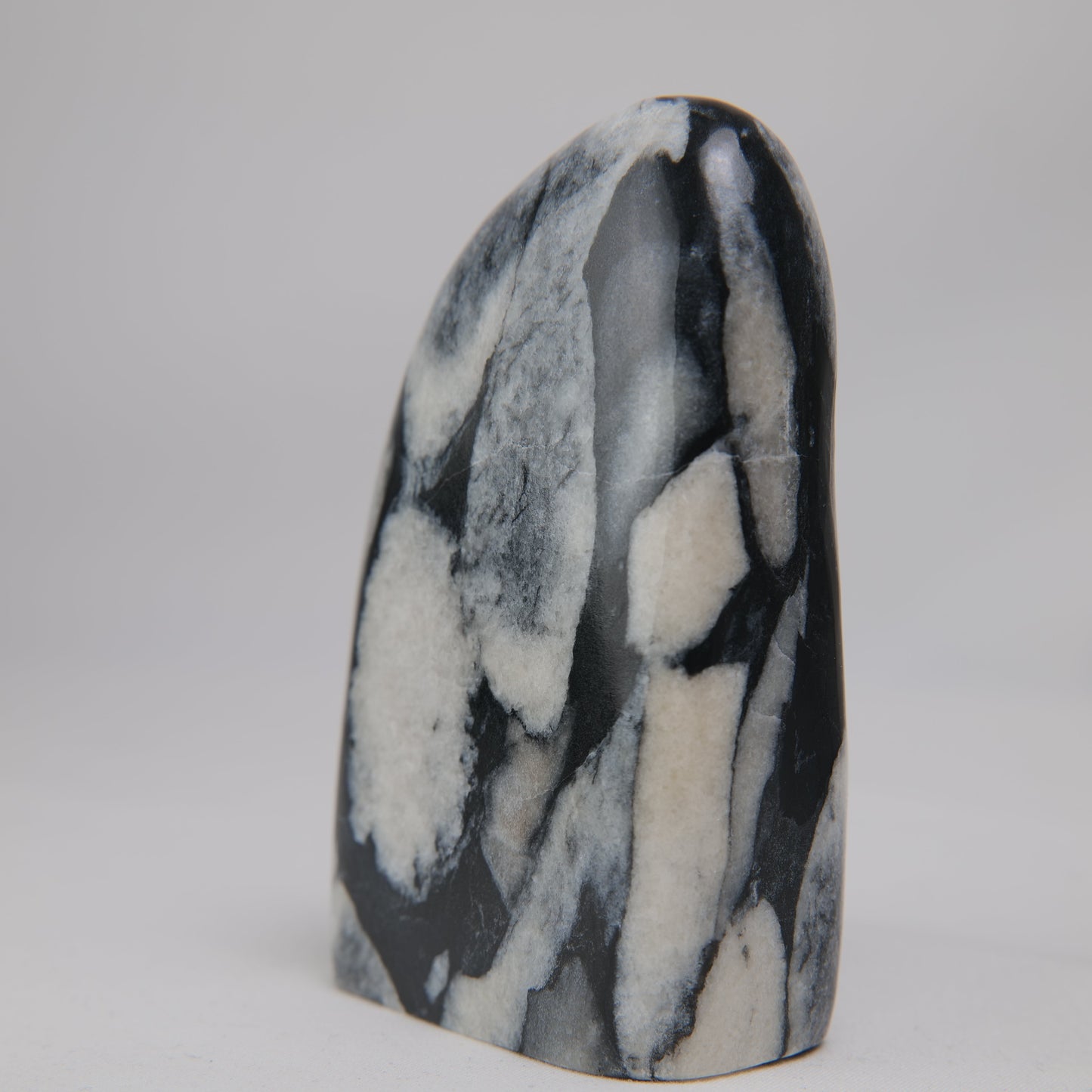 Shell Jade Freeform - Luna Panther