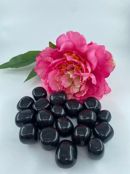 Polished Shungite - Tumble Stone featuring deep black tone and matte sheen - Luna Panther