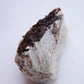 Siderite & Quartz - 135g — minerals, image 3 of 5.