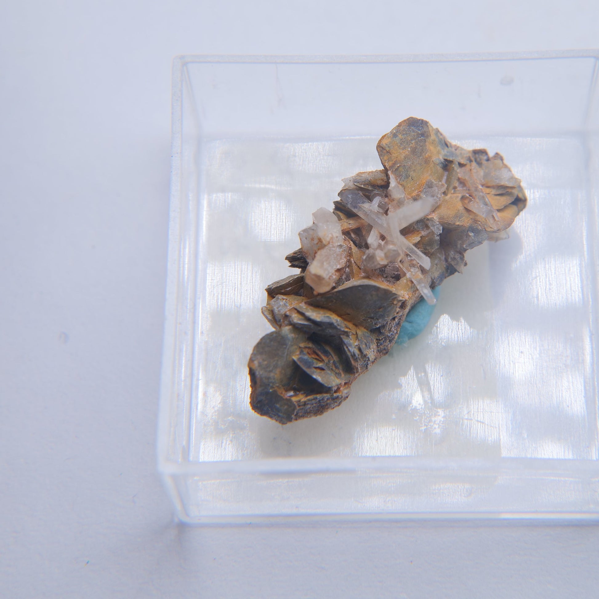Siderite & Quartz from Col du Barioz, Isere, France - 11g - Luna Panther