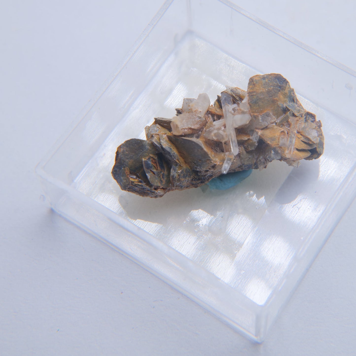 Siderite & Quartz from Col du Barioz, Isere, France - 11g - Luna Panther
