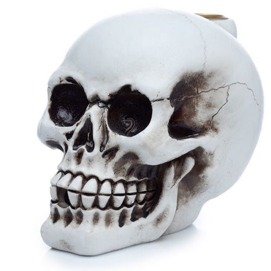 Polished Skull Backflow Incense Burner featuring natural patterning and unique variations - Luna Panther