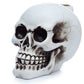 Polished Skull Backflow Incense Burner featuring natural patterning and unique variations - Luna Panther