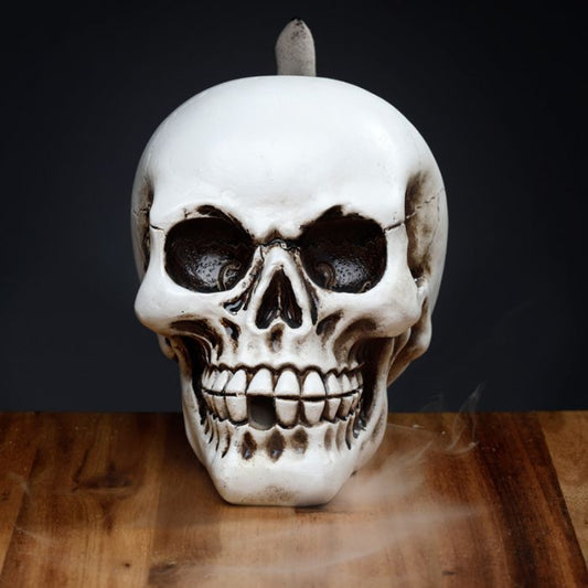 Polished Skull Backflow Incense Burner featuring natural patterning and unique variations - Luna Panther alternate view