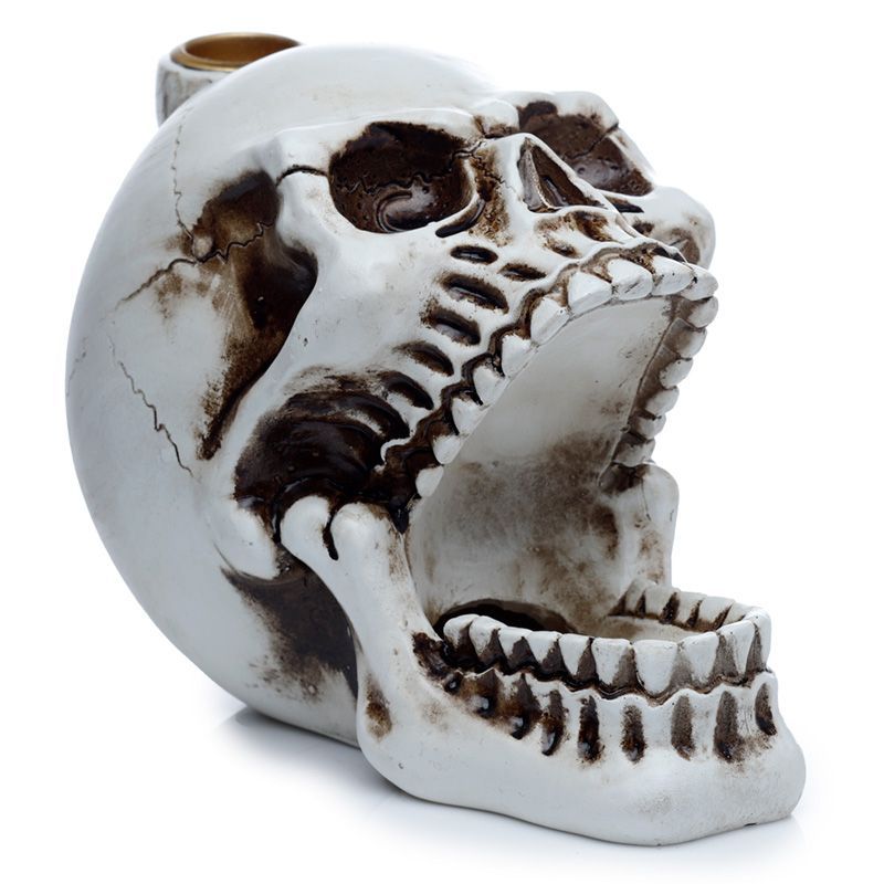 Polished Skull With Open Mouth Backflow Incense Burner featuring natural patterning and unique variations - Luna Panther
