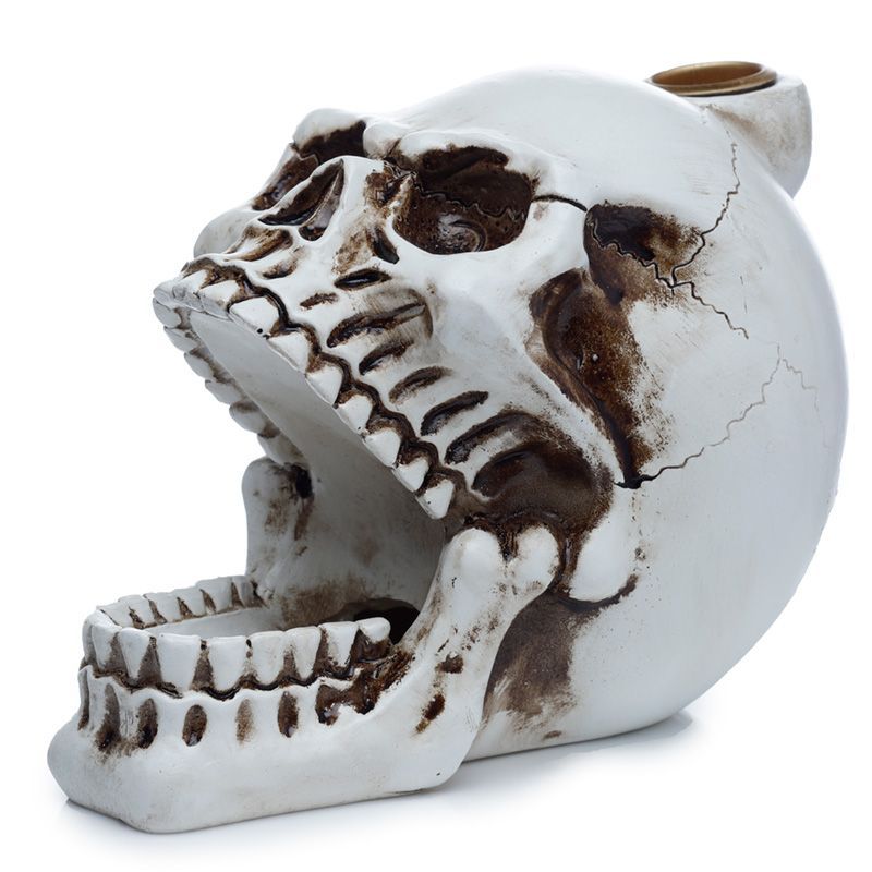 Polished Skull with Open Mouth Backflow Incense Burner featuring natural patterning and unique variations - Luna Panther
