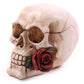Skull with Roses - Random Design - Luna Panther