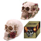 Skull with Roses - Random Design - Luna Panther