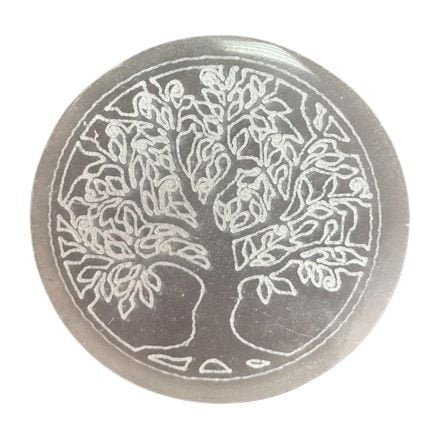 Polished Small Charging Plate 8cm - Tree of Life featuring natural patterning and unique variations - Luna Panther
