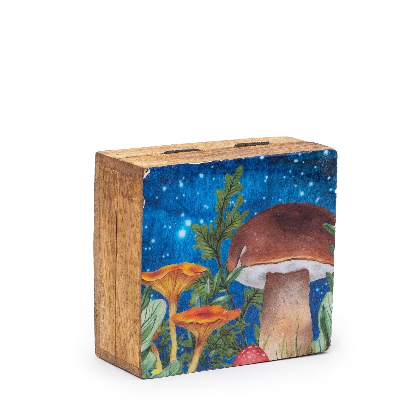 Small Enameled Square Box 10x10x4.2cm - Mushroom Design Teal - Luna Panther